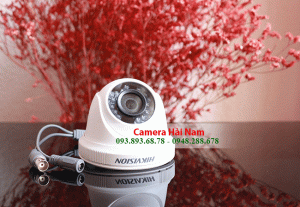 Camera Hikvision DS-2CE56D0T-IR Bán cầu HDTVI siêu nét 2.0MP Full HD 1080P